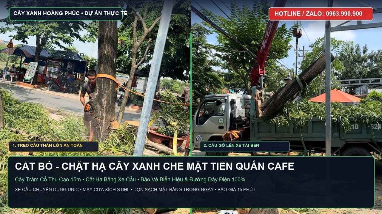 Chặt Hạ Cây Xanh Che Mặt Tiền Quán Cafe Bằng Xe Cẩu TP.HCM