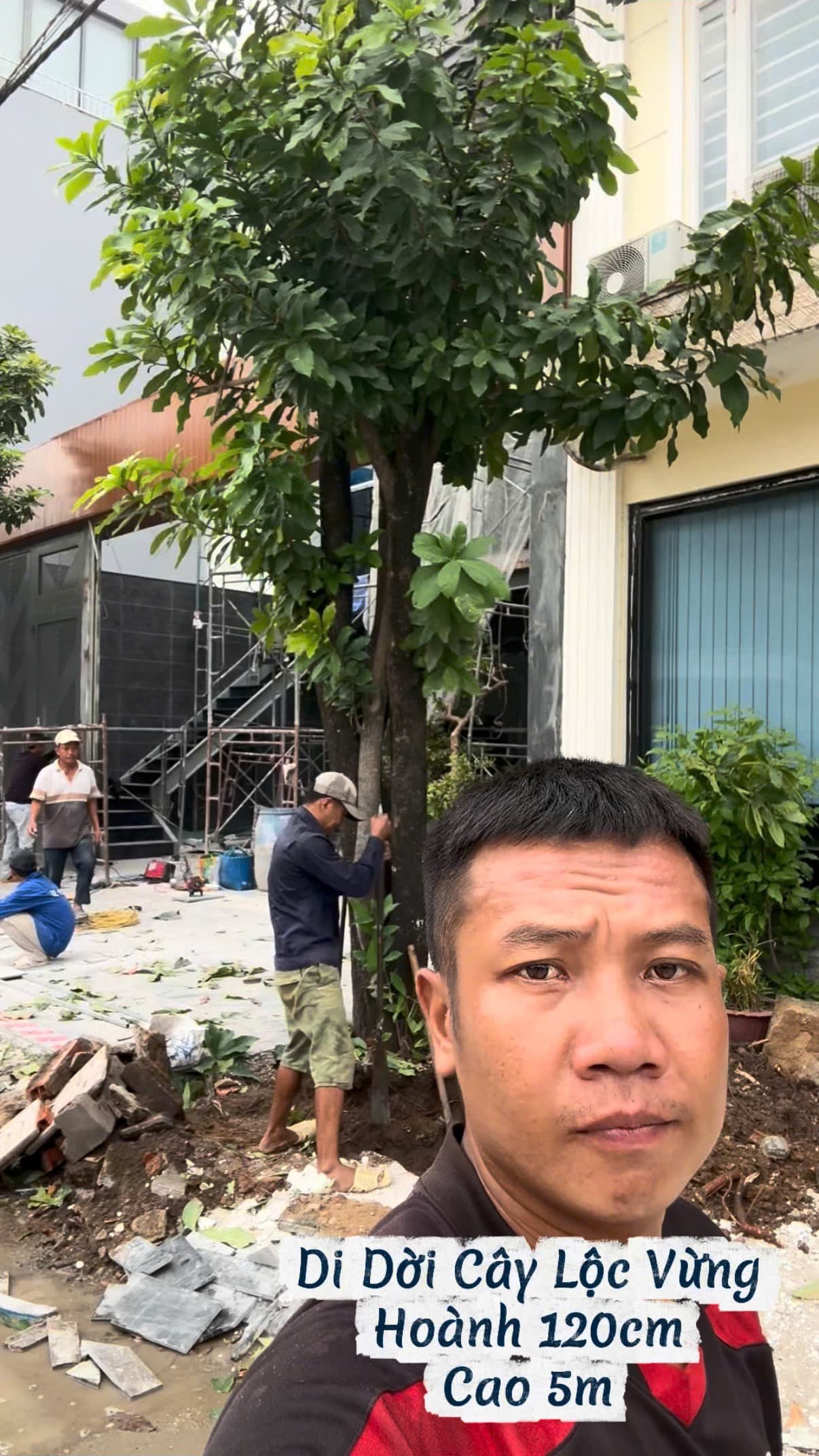 Em Phúc trực tiếp có mặt tại hiện trường chỉ đạo kỹ thuật bứng cây lộc vừng