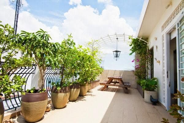 Chăm sóc cây xanh định kỳ cho văn phòng và nhà xưởng
