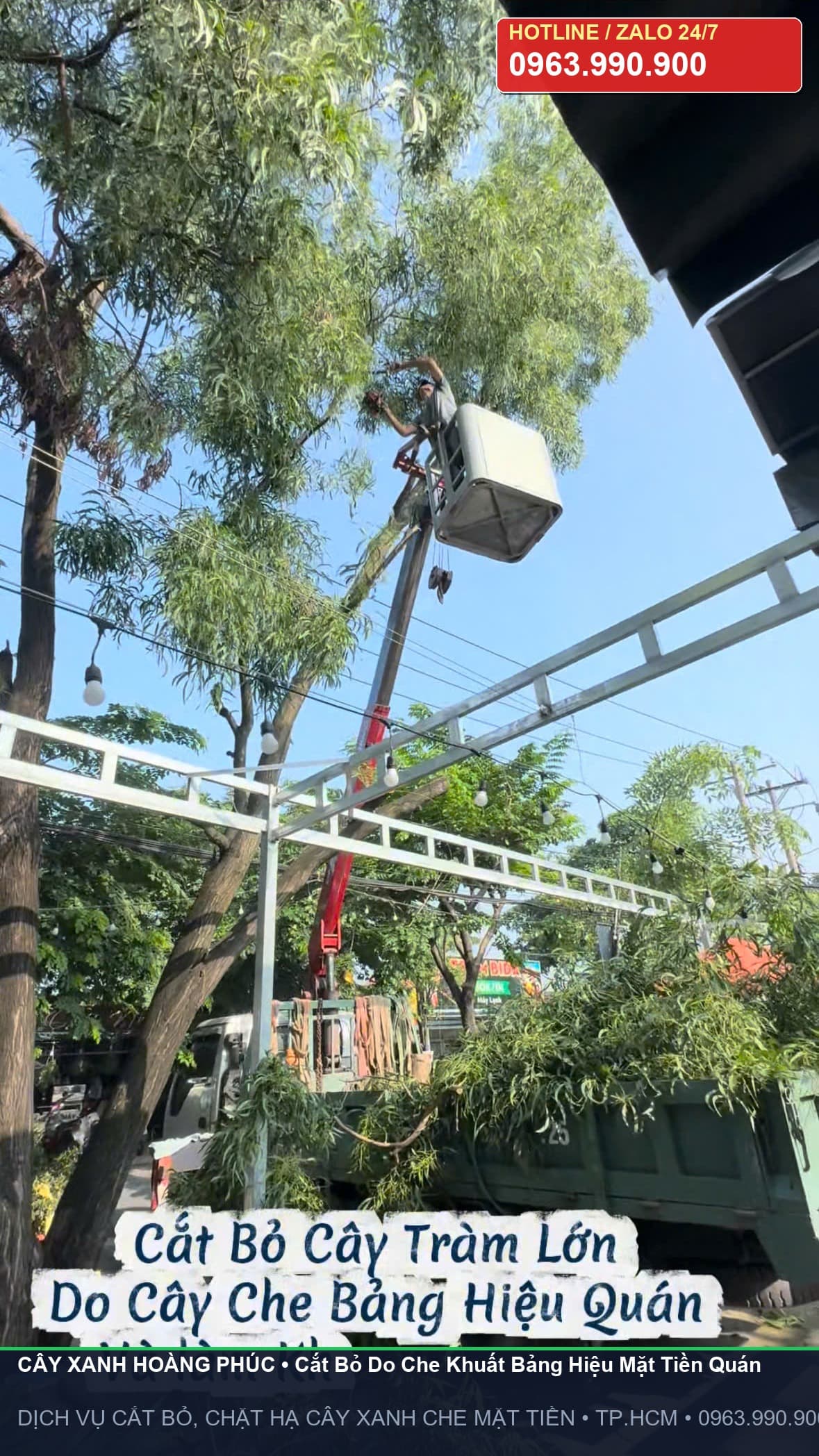 Hiện trạng cây xanh che khuất hoàn toàn bảng hiệu và mặt tiền kinh doanh của quán cafe