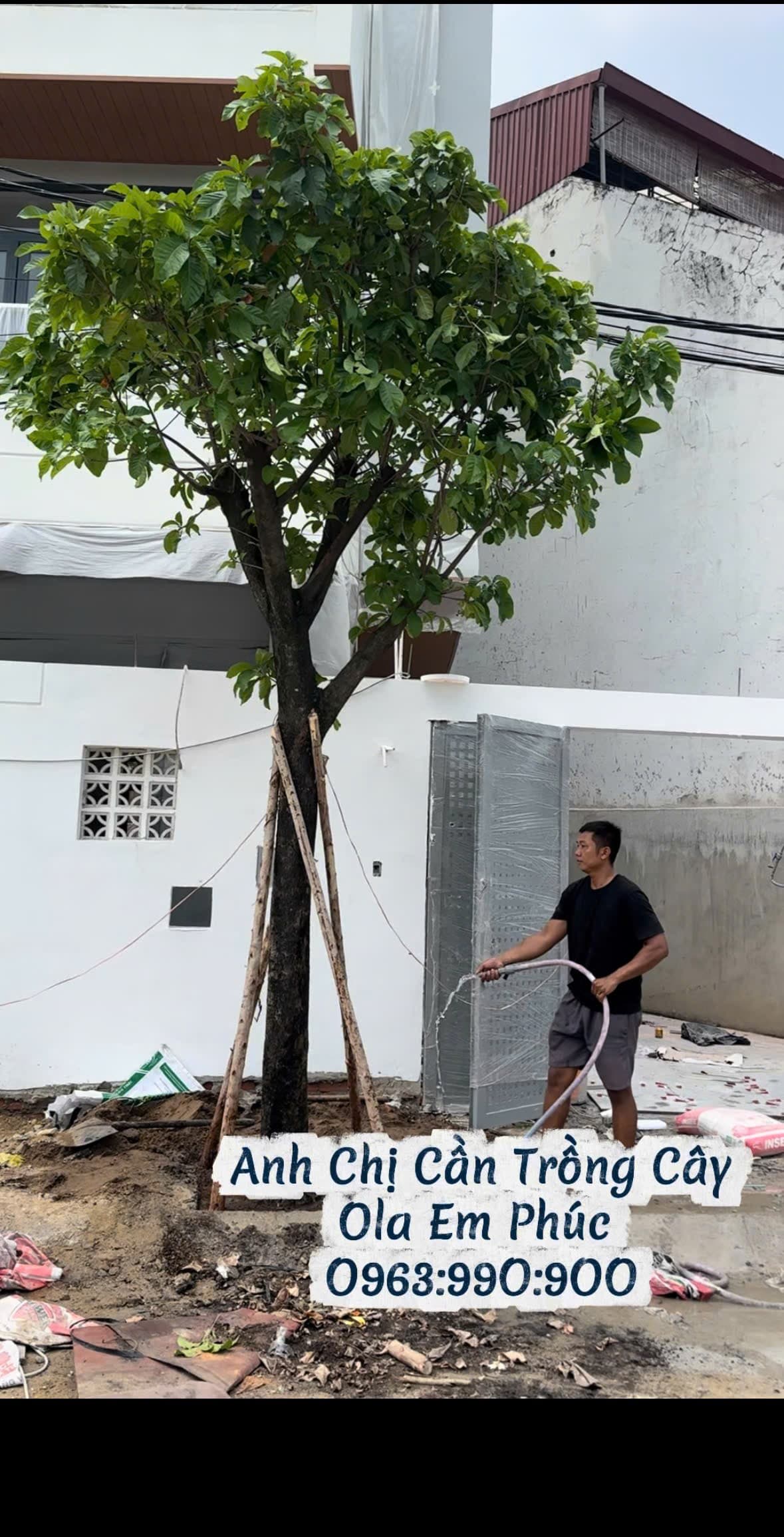 Hoàn thiện tưới nước và bàn giao mảng xanh tươi mát cho gia chủ Gò Vấp
