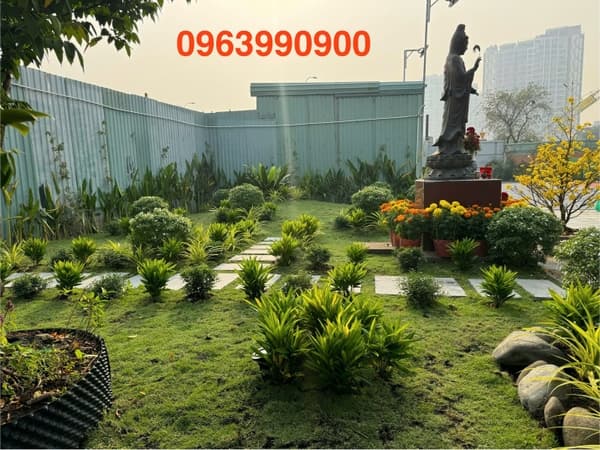 Cải Tạo Sân Vườn, Trồng Cỏ Tiểu Cảnh Tại TP Thủ Đức